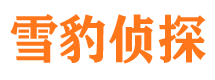 日喀则私家侦探